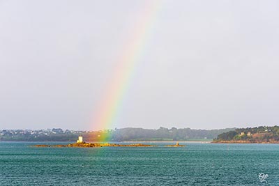 Baie de Morlaix - Ile Noire